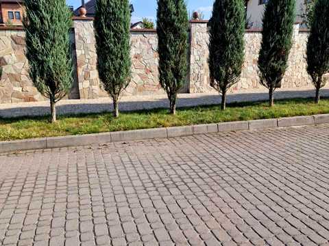 ділянка за адресою Полуботка