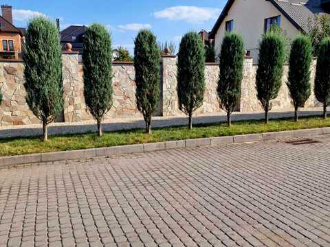 ділянка за адресою Полуботка