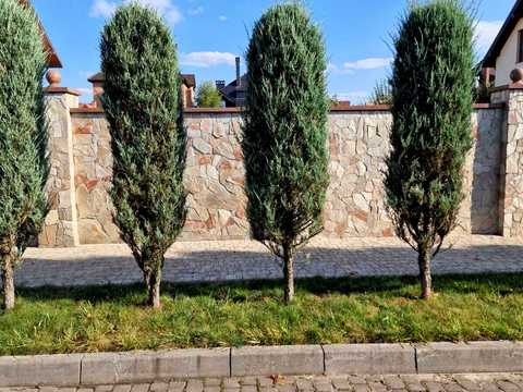 ділянка за адресою Полуботка