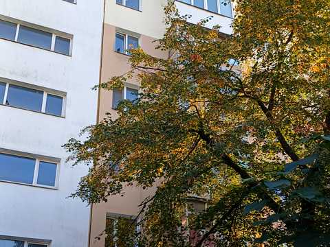 квартира за адресою Миколаїв, Галини Петрової вул., 14