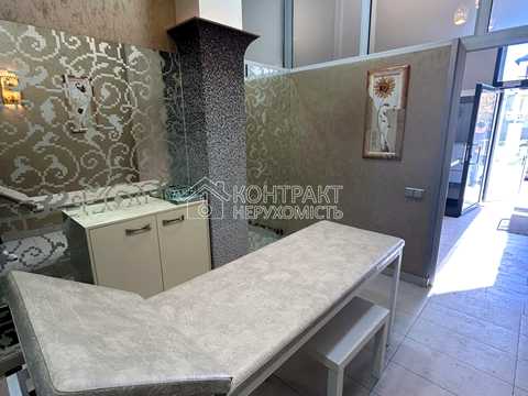комерційна за адресою Євгенія Єніна вул. (Бакуліна), 33