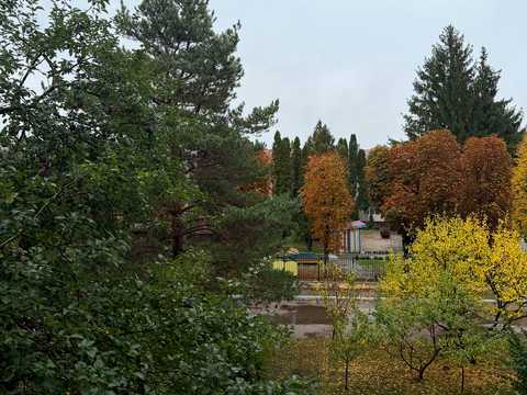 квартира за адресою с. Катюжанка, Заводська вул., 18