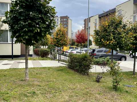 квартира по адресу Берёзовая ул., 41