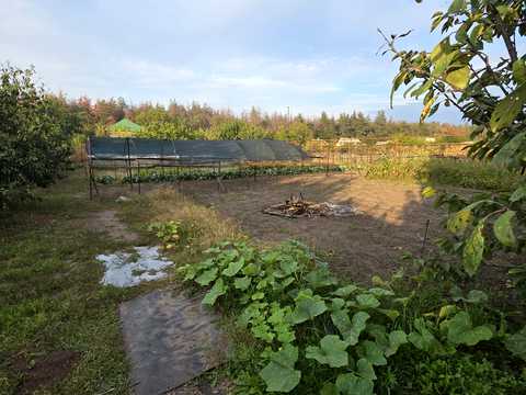 дом по адресу Центральна, 326