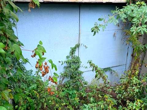 будинок за адресою Буча, Яблунська вул. (Кірова)