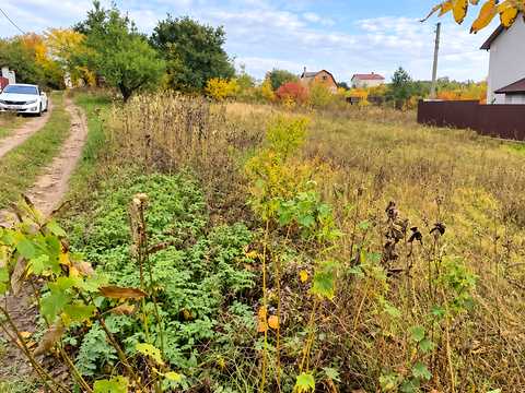 ділянка за адресою с. Петрушки,