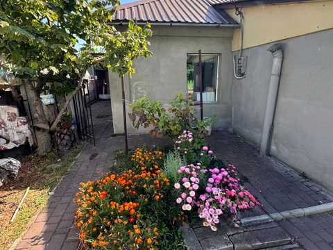 дом по адресу Карла Роде ул. (Давыдова), 105