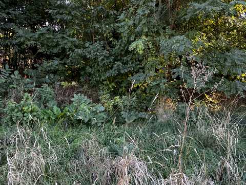 ділянка за адресою с. Лука-Мелешківська, Олімпійська