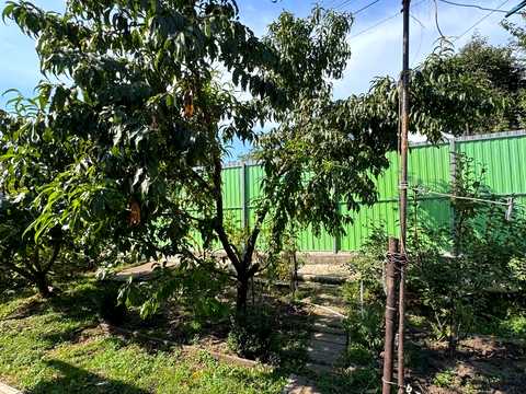 дом по адресу Карла Роде ул. (Давыдова), 105