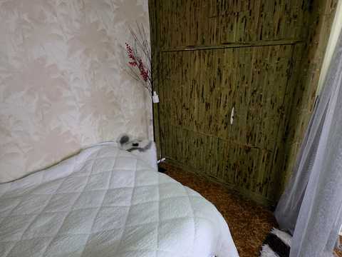 квартира за адресою Миколаїв, Севастопольська вул., 14