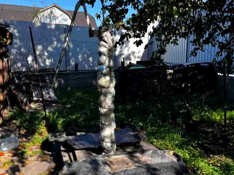 дом по адресу Чайковского ул. (Чайковского), 101