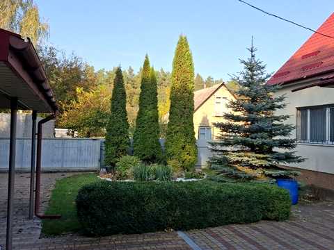 дом по адресу Вільхова, 5