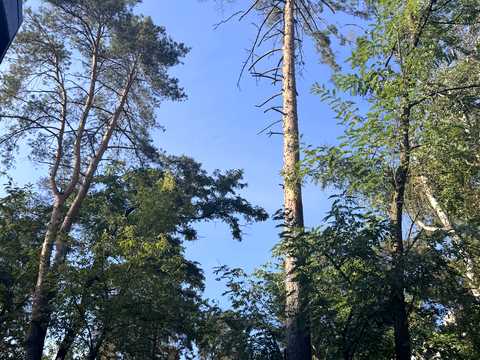 будинок за адресою Ірпінь, Котляревського вул.