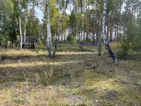 ділянка за адресою с. Поташня, Лісова