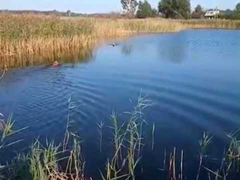 будинок за адресою Лазурна
