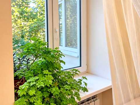 квартира по адресу Малая Арнаутская ул., 109