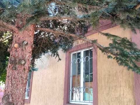дом по адресу медовая