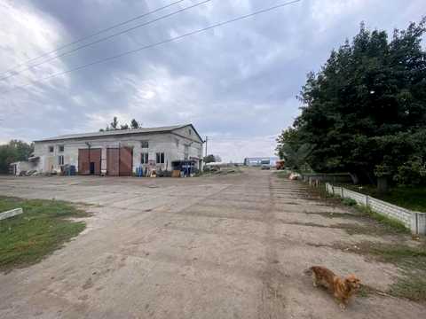 комерційна за адресою с. Мала Вільшанка, Шевченка, 1