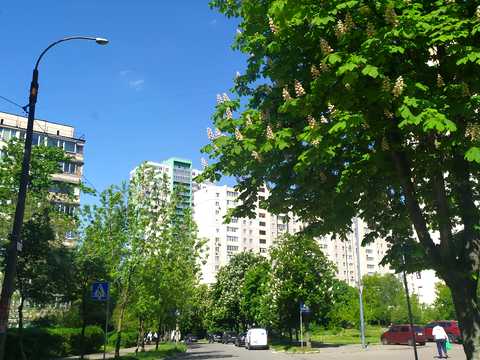 квартира за адресою Тулузи вул., 16