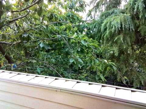 будинок за адресою Одеса, Щоглова вул., 8