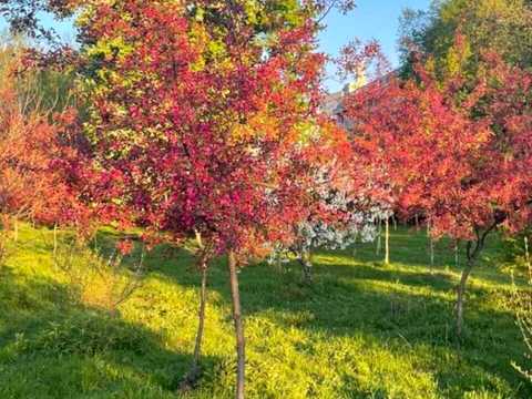 квартира за адресою Гарматна вул., 38-А