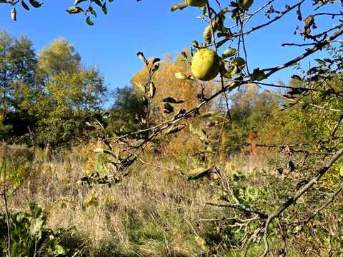 ділянка за адресою Васильківська