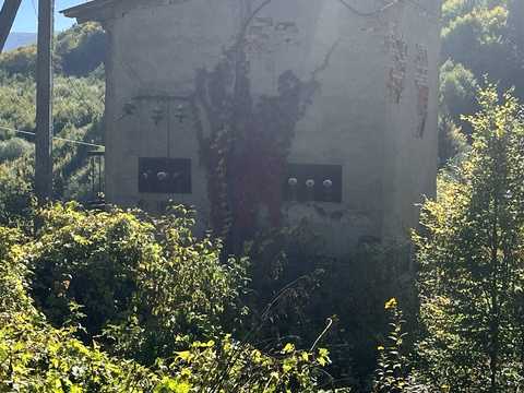 комерційна за адресою Барвінкова, 25