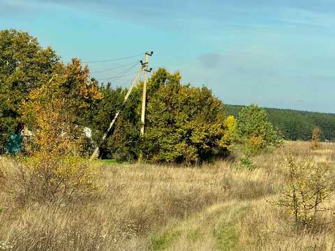участок по адресу с. Мироцкое, 