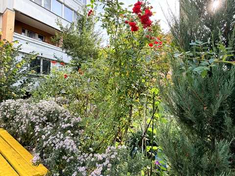 квартира за адресою Мостицька вул., 12