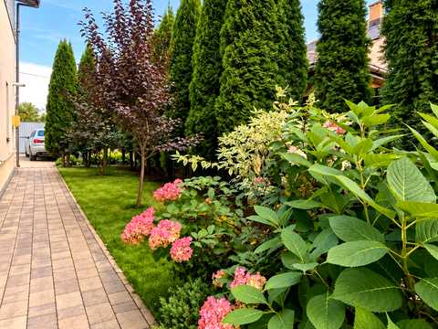 будинок за адресою Лисенка вул., 76