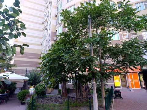 квартира за адресою Анни Ахматової вул., 22