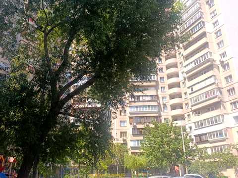 квартира за адресою Оноре де Бальзака вул., 4