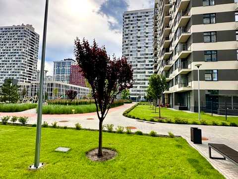 квартира за адресою Олександра Олеся вул., 19