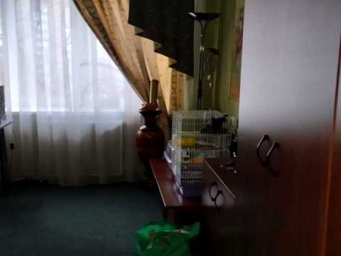 квартира за адресою Мироненка вул., 12
