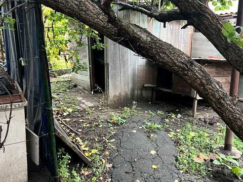 будинок за адресою Груднева вул., 20