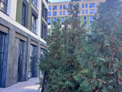 комерційна за адресою Петра Дорошенка вул., 42