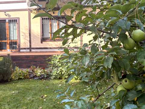 будинок за адресою Степана Бандери вул. (Ватутіна), 12