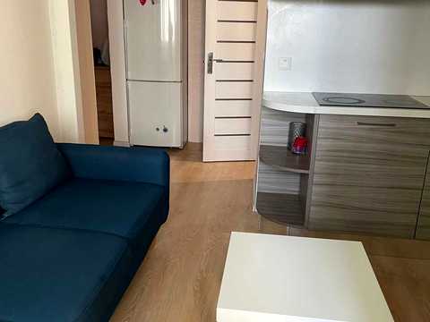 квартира за адресою Олени Пчілки вул., 4