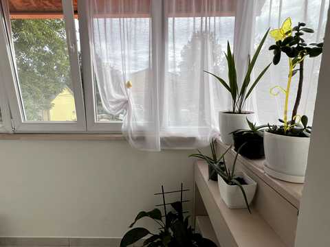 квартира по адресу Лесі Українки ул., 56