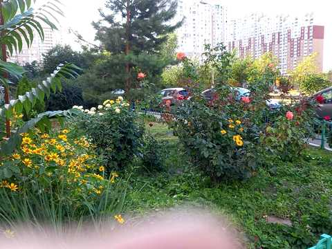 квартира за адресою Київ, Олени Пчілки вул., 4