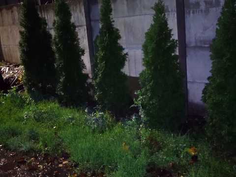 дом по адресу Омельницька ул. (Забайкальская), 67