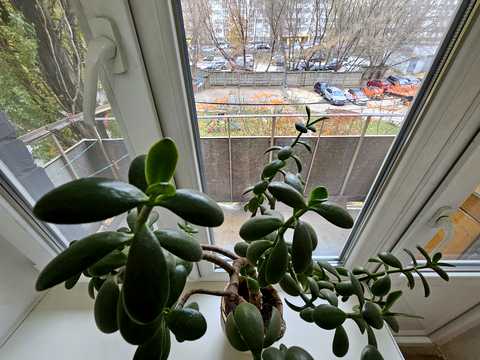 квартира по адресу Казарменная ул. (Григория Андрющенко), 4-Б