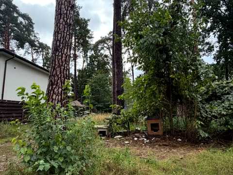 участок по адресу Буча, Отамана Орлика ул. (Ватутіна)