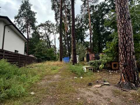 ділянка за адресою Отамана Орлика вул. (Ватутіна)