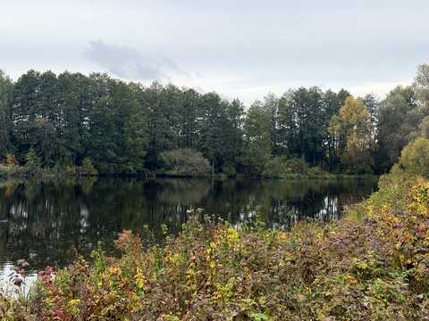 ділянка за адресою Вишнева