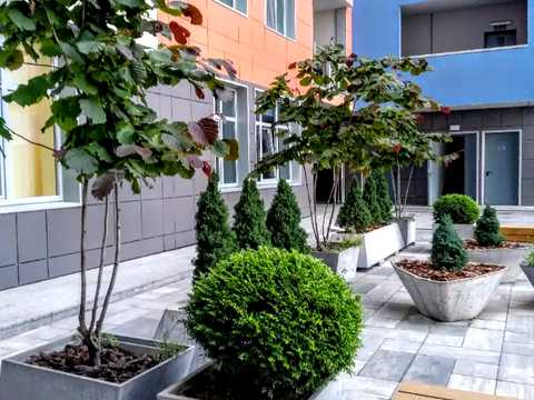 квартира по адресу Владимира Моссаковского ул. (Клари Цеткін), 7