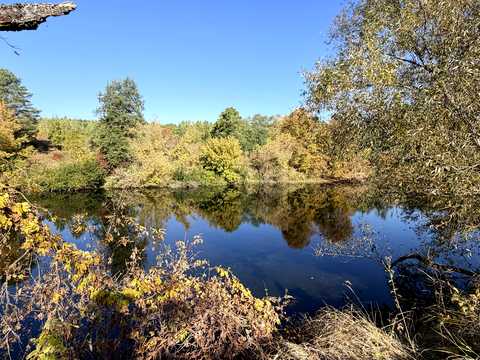 ділянка за адресою с. Малі Кошарища, Зарічна