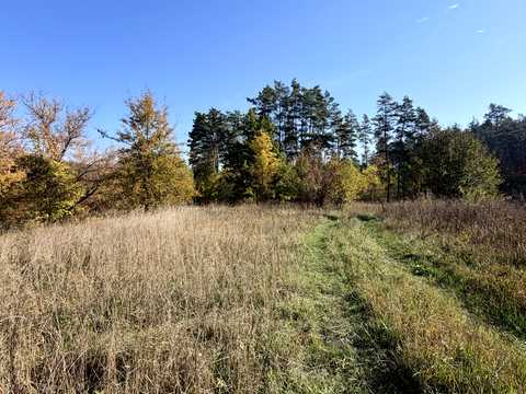 ділянка за адресою с. Малі Кошарища, Зарічна