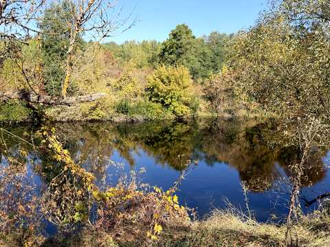 ділянка за адресою с. Малі Кошарища, Зарічна