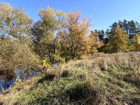 ділянка за адресою с. Малі Кошарища, Зарічна
